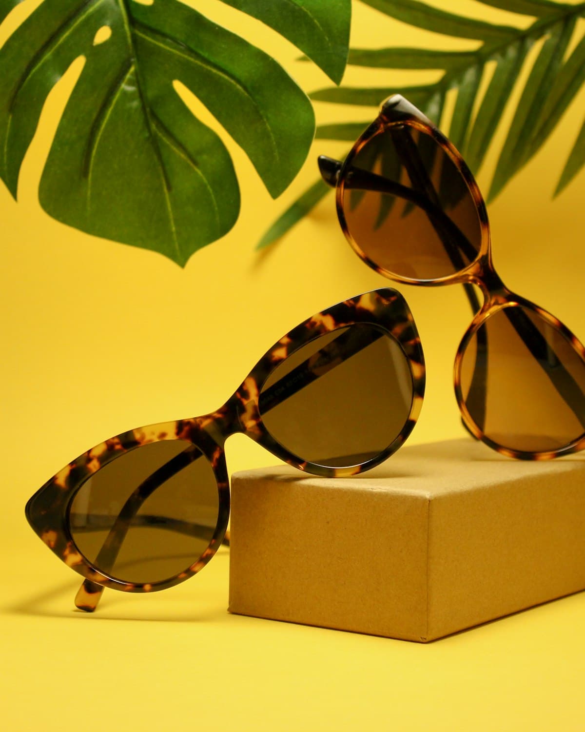 Round Tortoise Frames, view 1