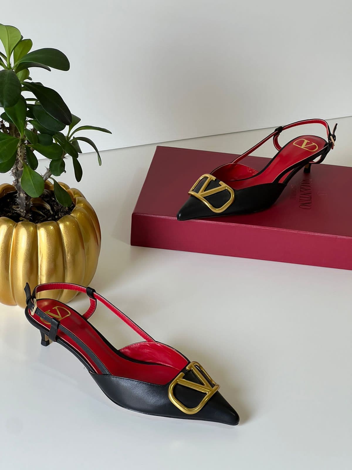 Valentino, photo 2