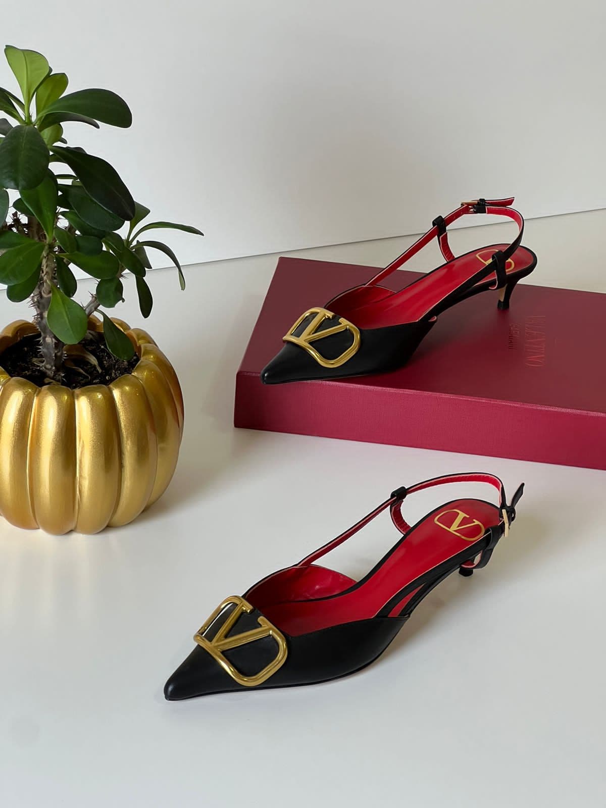 Valentino, photo 3