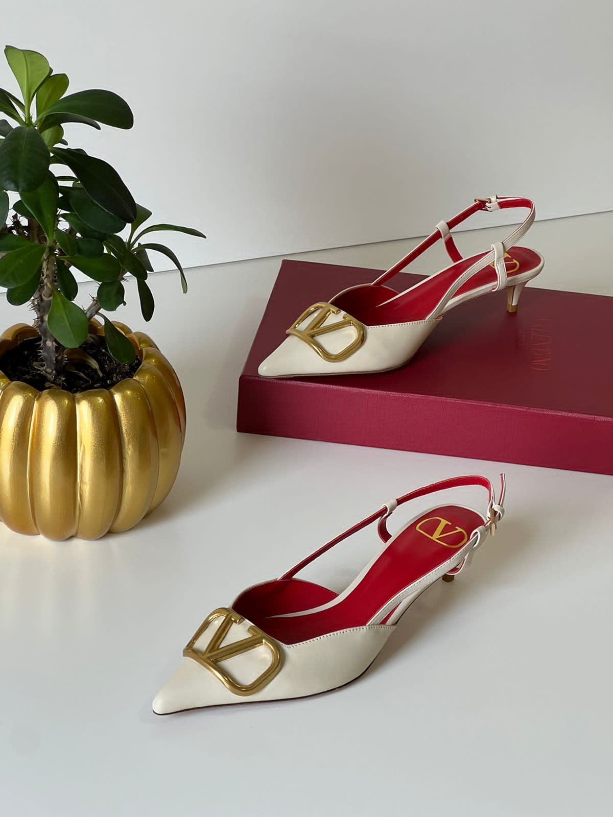 Valentino, photo 4