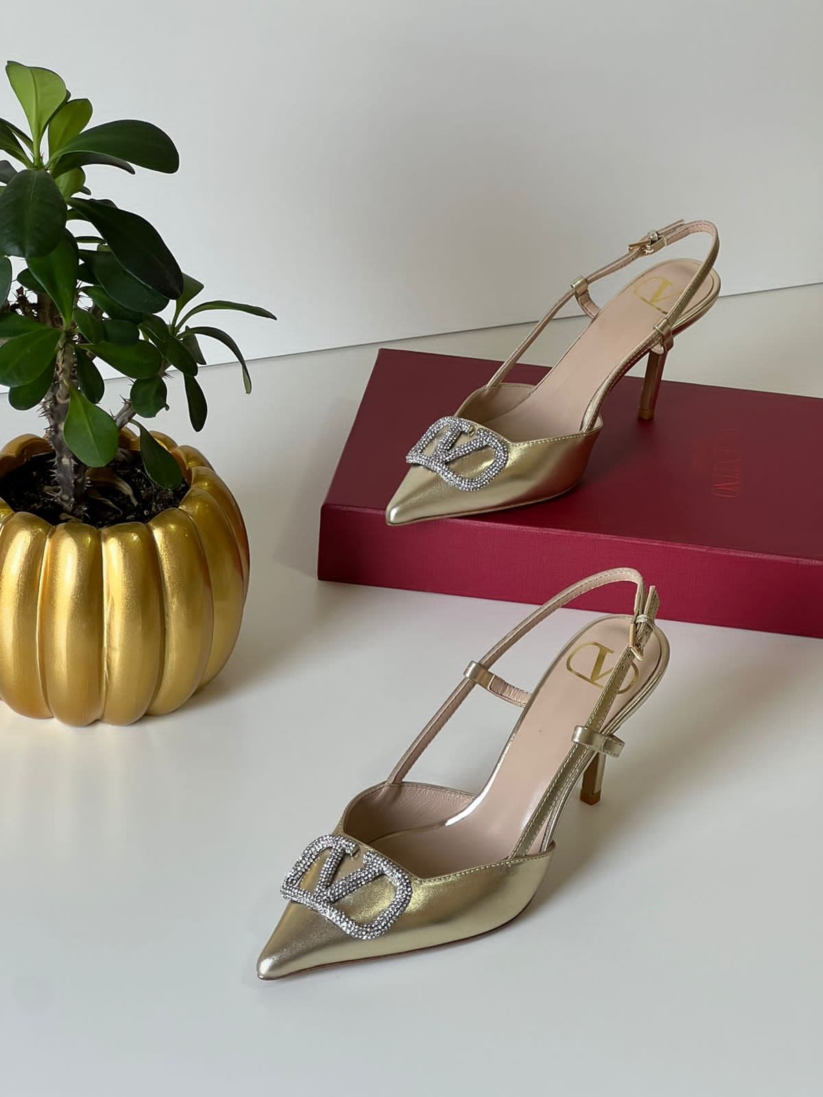 Valentino, photo 7