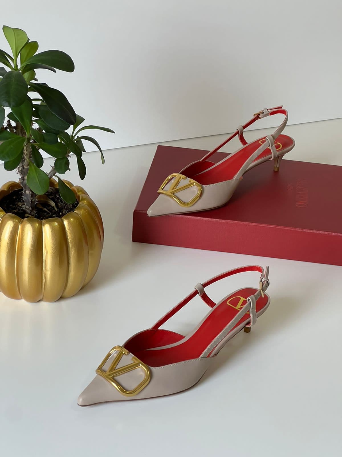 Valentino, photo 8