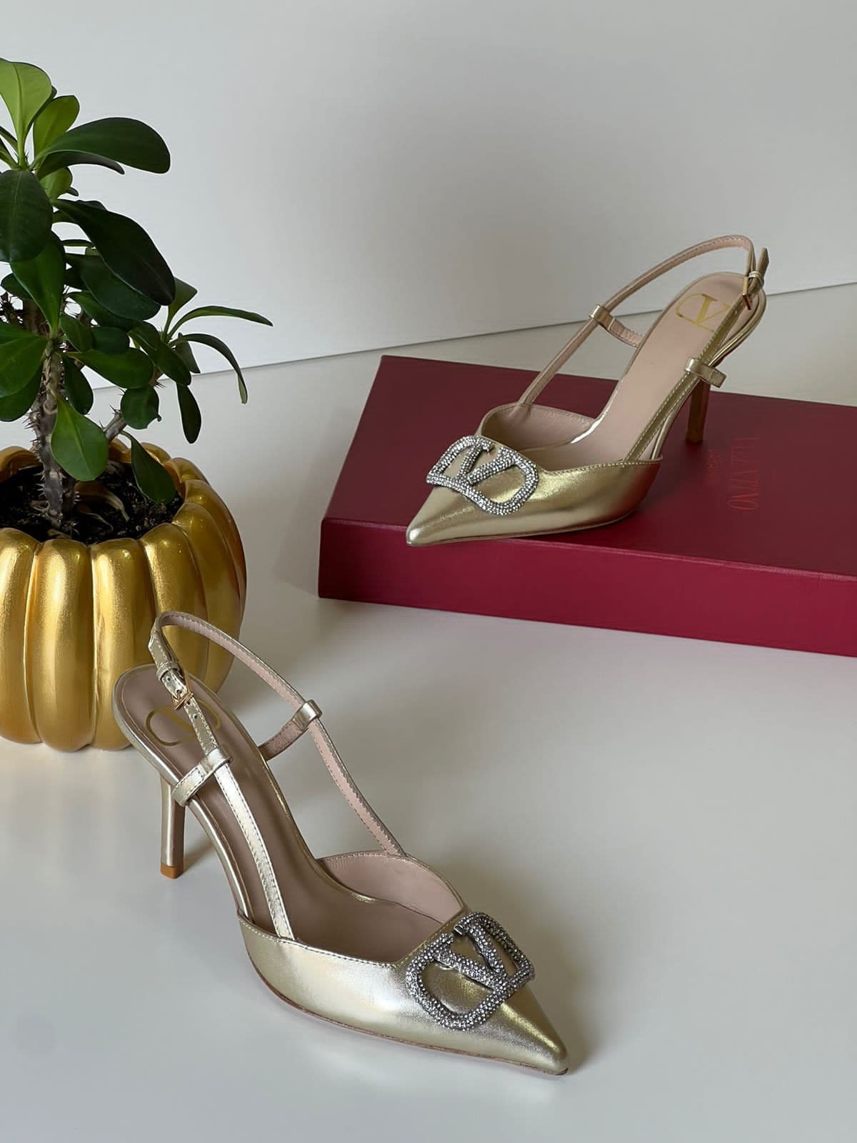 Valentino, photo 9