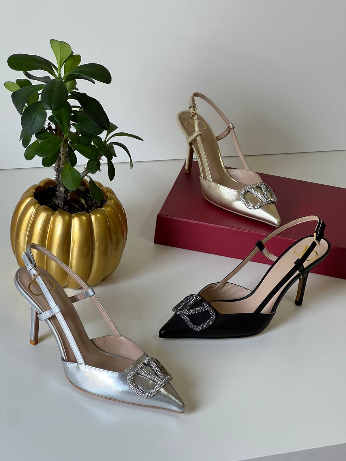 Valentino, photo 11
