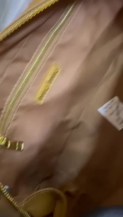 Miu Miu Bags, video 3