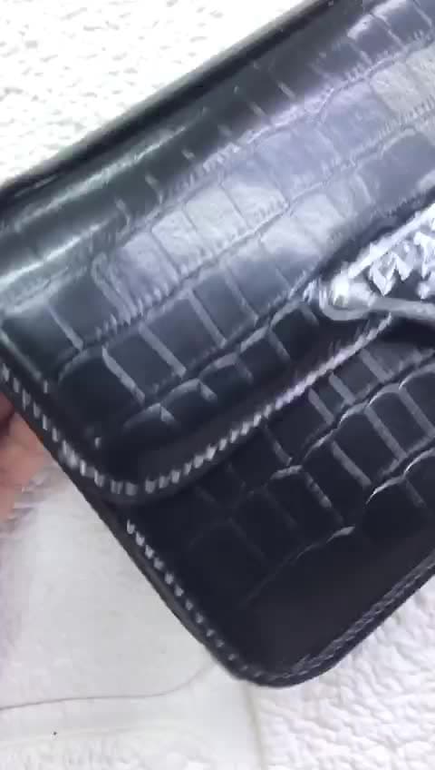 Prada Bags, video 16