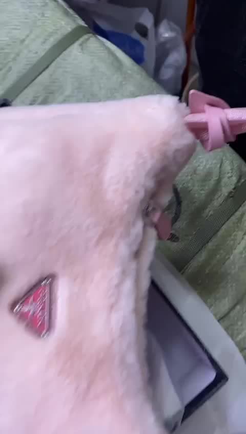 Prada Bags, video 38